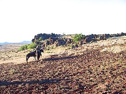 02_b10Br14rock-knoll-C1.jpg